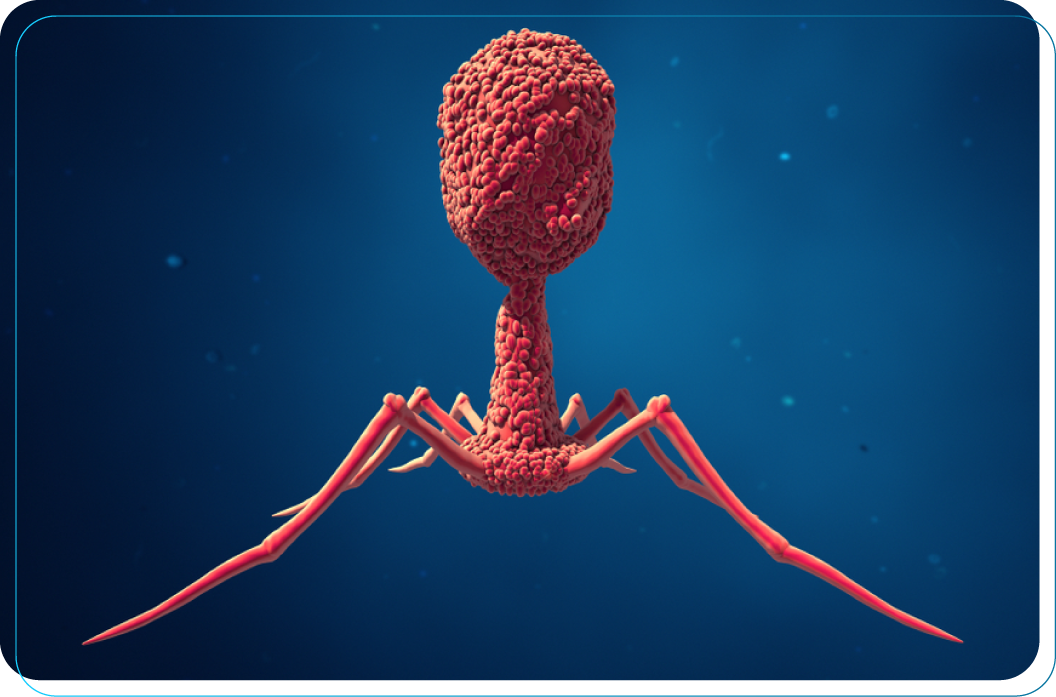 bacteriófago